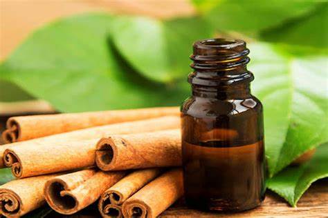 Cinnamon Leaf Oil